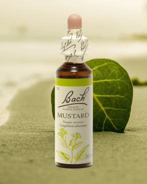 Fleur de Bach Original N°21 Mustard