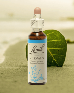 Fleur de Bach Original N°31 Vervain